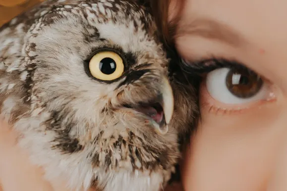 Kaszinó Fever Bingo Támogatás